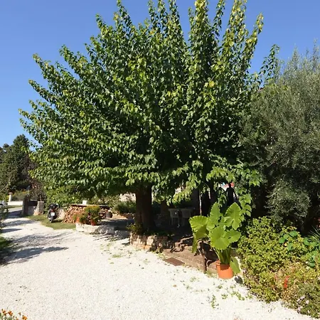 Baderna Apartment